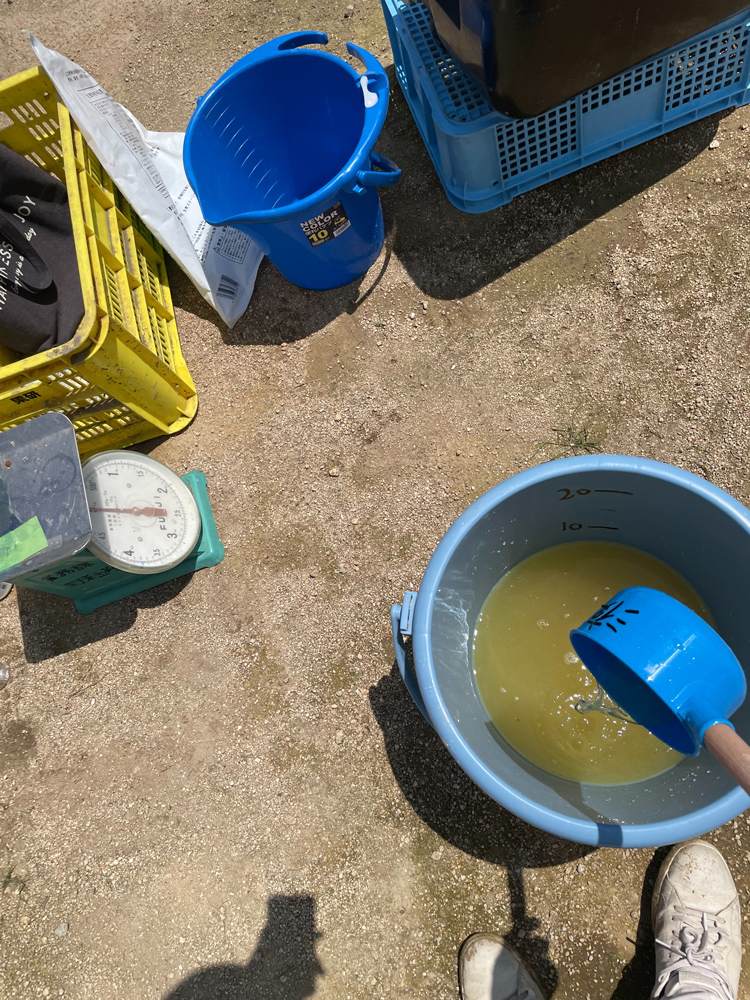 アスパラガスの液体肥料作りと防除作業